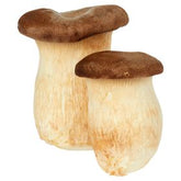 KÖNIGLICHE AUSTER 200 G KOREA